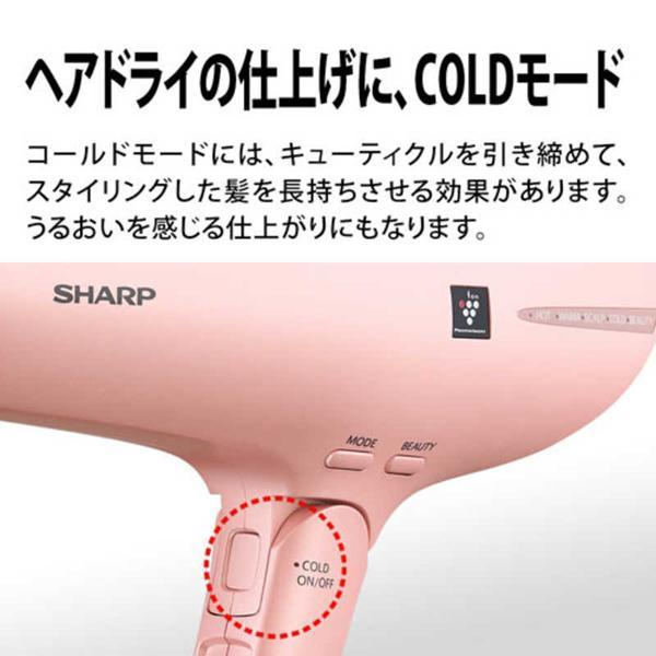 SHARP シャープ プラズマクラスタードライヤー ベージュ系サーブルベージュ IB-RP9-C｜rush-store｜06
