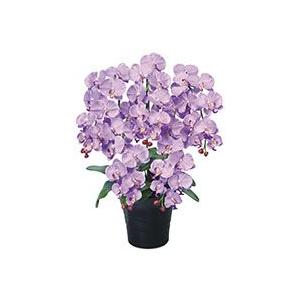 送料無料ポイント10倍《アートグリーン》《人工観葉植物》光触媒　光の園　クイーン胡蝶蘭Ｌ