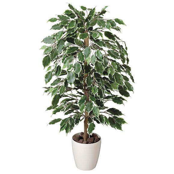 送料無料ポイント10倍《アートグリーン》《人工観葉植物》光触媒　光の園　ゴールデンフィカス1.0