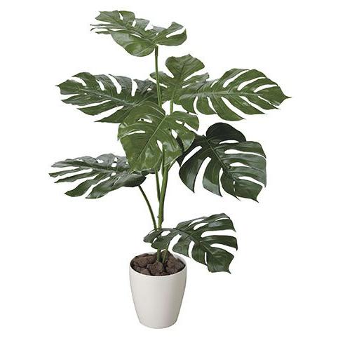 送料無料ポイント10倍《アートグリーン》《人工観葉植物》光触媒　光の楽園　モンステラ1.0