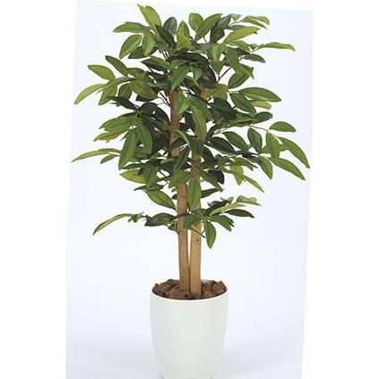 送料無料ポイント10倍《アートグリーン》《人工観葉植物》光触媒　光の楽園　アルデシア90