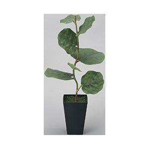 ポイント10倍 アートグリーン 人工観葉植物 光触媒 光の楽園 シーグレープ 花束 アレンジメント Ensino Ssp Go Gov Br