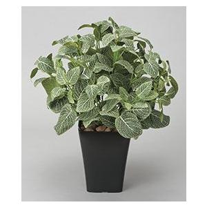 ポイント10倍《アートグリーン》《人工観葉植物》光触媒　光の園　フィットニアM