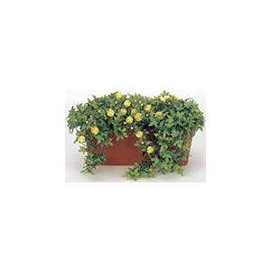 ポイント10倍《アートグリーン》《人工観葉植物》光触媒　光の園　レンガプランター