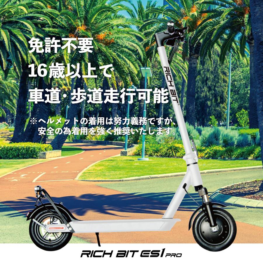 RICH BIT 特定小型原動機付自転車 電動キックボード 保安部品完備 公道