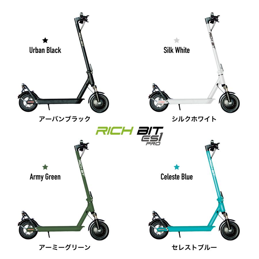 RICH BIT ES1 PRO 電動アシスト自転車 richbit es1 pro