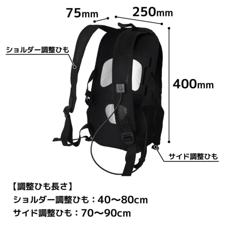 THANKO サンコー THANKO ペルチェで冷却バックパック「クーリュック２」 ブラック BACKC2HBK_2