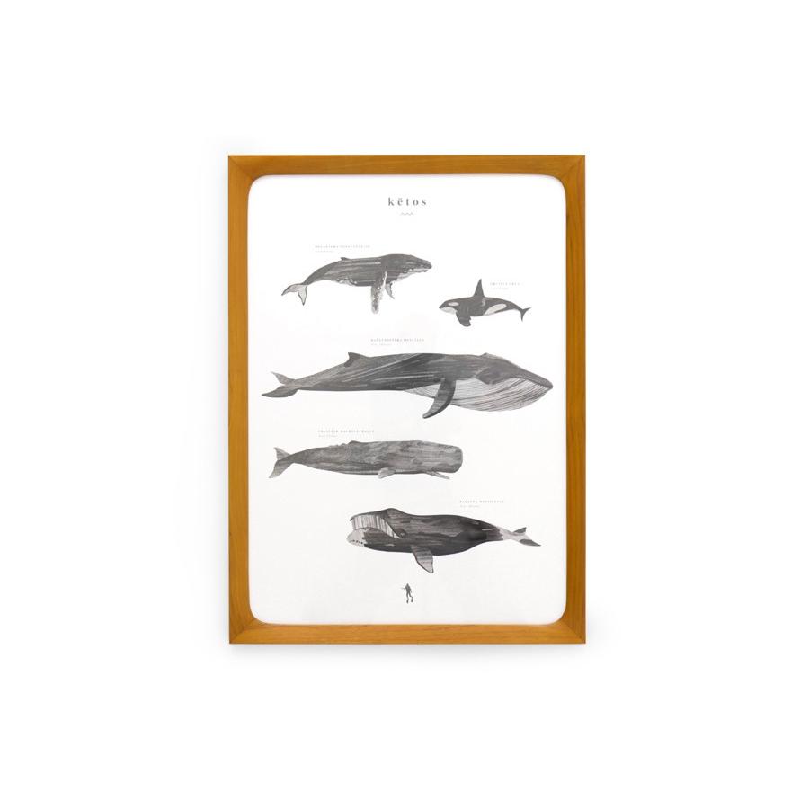 再入荷時期未定】チーク無垢材天然木のポスターフレーム 50x70cm□天然