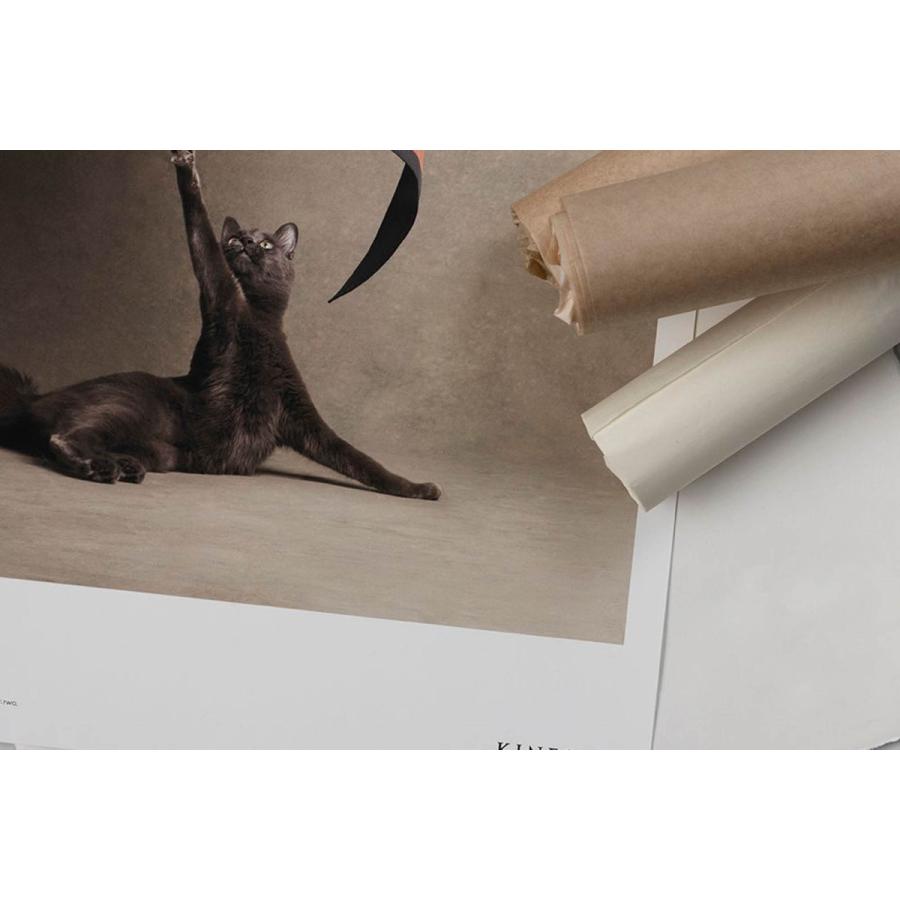 ALIUM × Kinfolk ポスター/アートプリント 50×70cm Le Chat Chic ALIUM × Kinfolk ポスター/アートプリント 50×70cm Le Chat Chic
