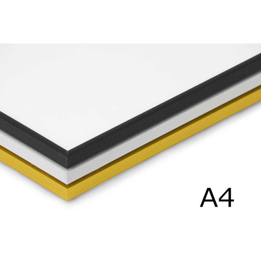 A.P.J.アートプリントジャパン アルミ製ポスターフレーム A4 フィットフレーム 61xFitA4CHLOROS(クロロス