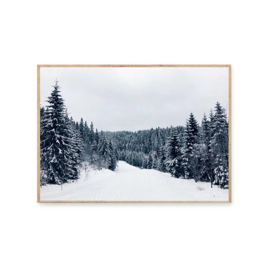 Coco Lapine Design　ポスター/アートプリント　50×70cm　Winter Wonderland｜ruskea