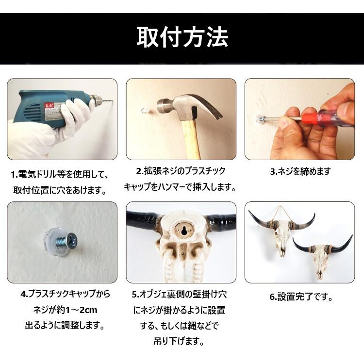 牛ハンティングトロフィーフレーム付き 牛ハンティングトロフィーフレーム付き 牛ハンティング