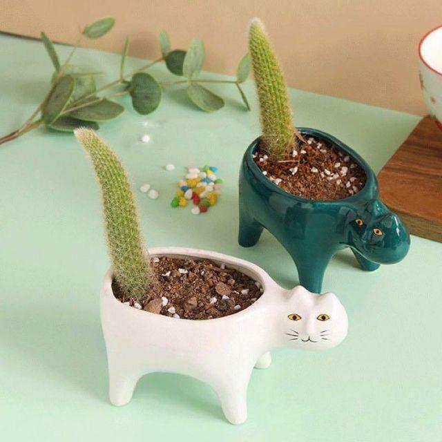 気持ち悪い顔のネコ 白猫 陶器 観葉植物 プランター 多肉植物 植木鉢