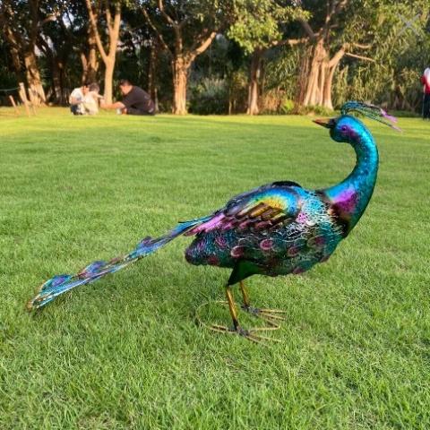 ガーデンライト ソーラーライト 孔雀 ピーコック 防水 鳥 C ガーデンライト ソーラーライト ガーデンインテリア 孔雀