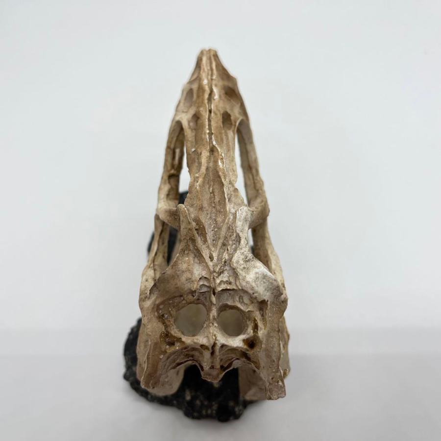 【即納】ティラノサウルス 頭骸骨 レプリカ インテリア 恐竜の化石 オブジェ 虎牙 中 化石_4