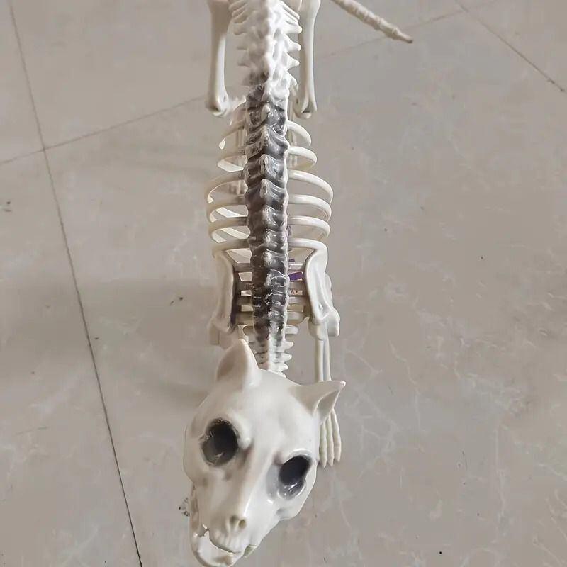 オブジェ 置物 猫 骨格 骸骨 スケルトン スカルキャット 動物