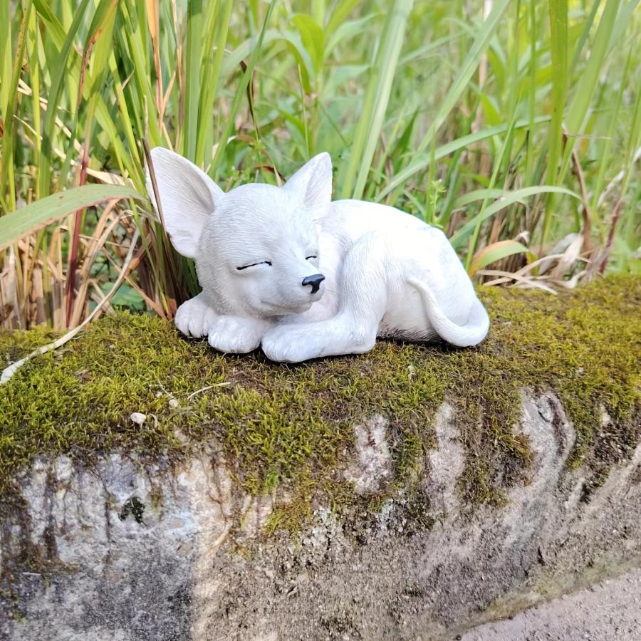 チワワ 置物 オブジェ 寝姿 お昼寝 ミニサイズ 手のり 犬 動物 屋内