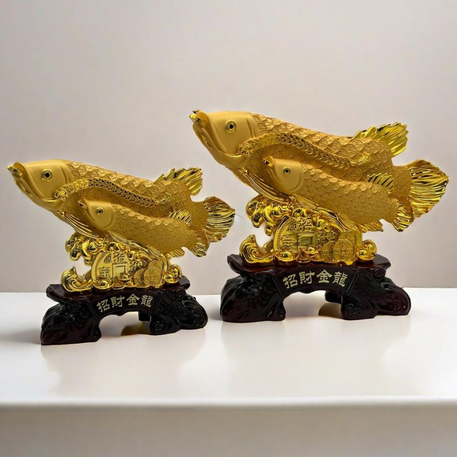 アロワナ 全長52cm 特大 黄金 金色 龍魚 ドラゴンフィッシュ 金運 商売