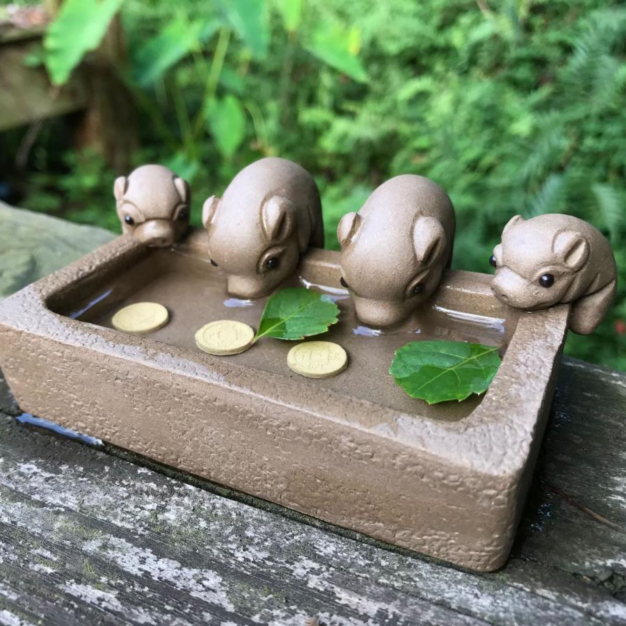 豚 ブタ 紫砂 置物 オブジェ 観葉植物 水耕栽培 開運 商売繁盛 玄関