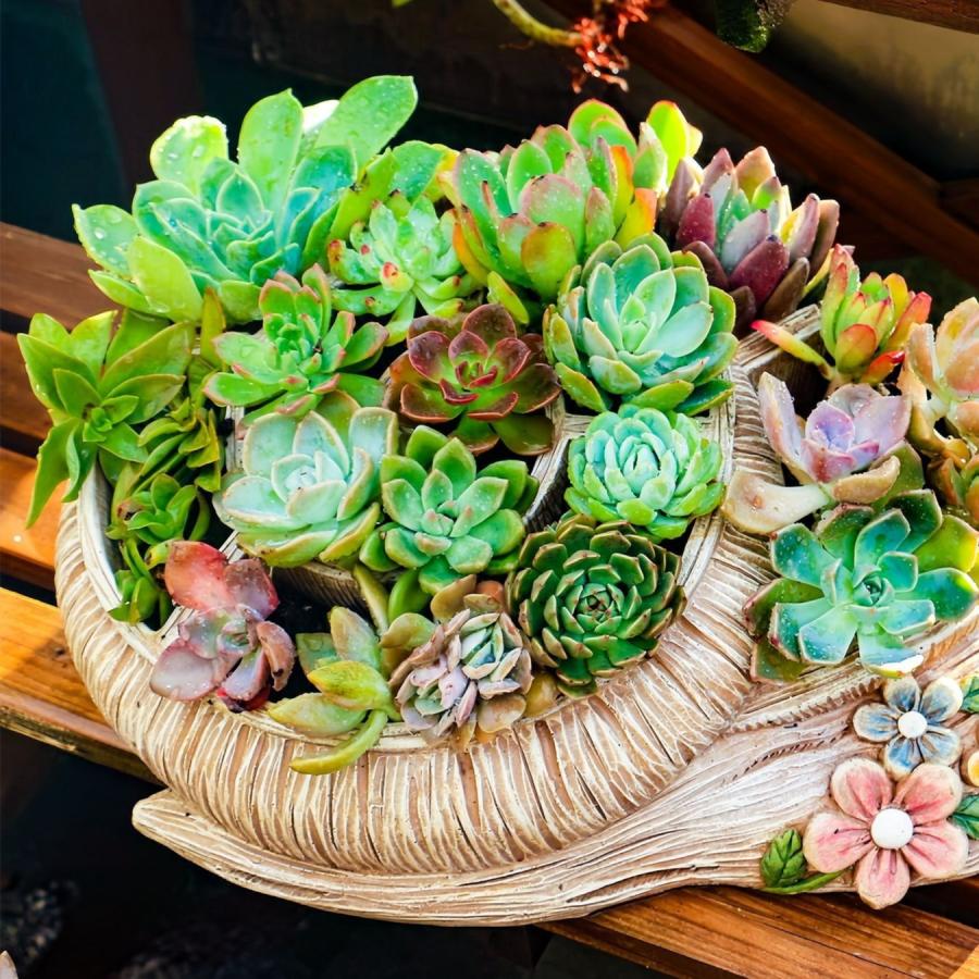 プランター カタツムリ ナメクジ かわいい 樹脂 庭 植木鉢 鉢植え