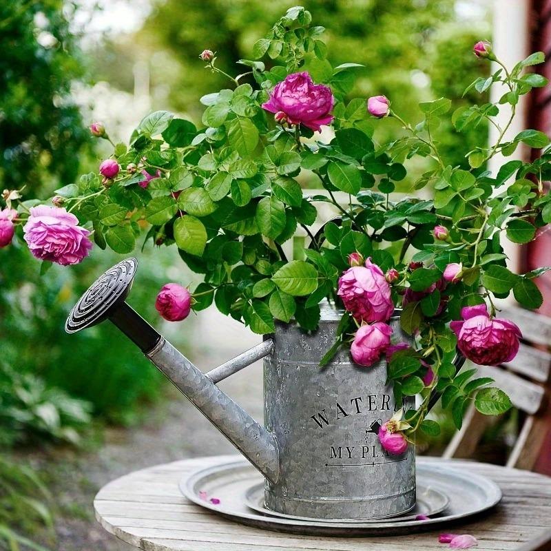 ジョウロ メタル じょうろ ヴィンテージ調 ブラック ダブルハンドル