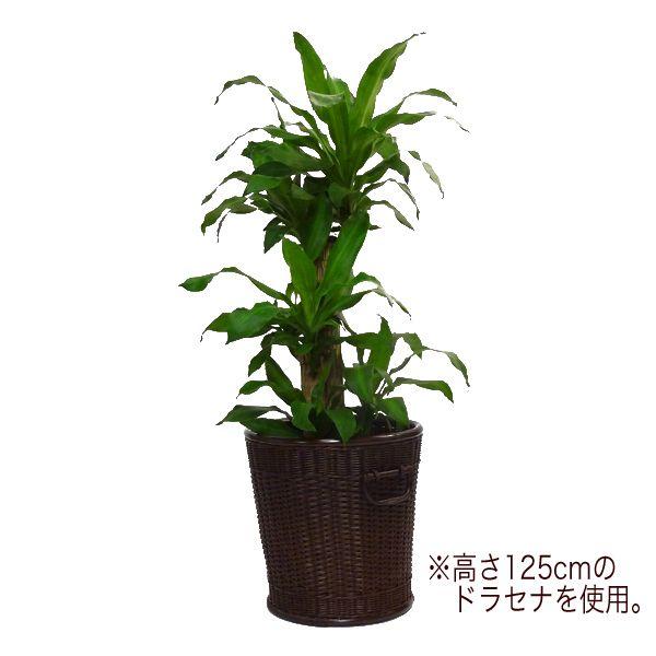 当店オリジナル】高品質 籐鉢カバー 10号 高級ラタンかごバスケット