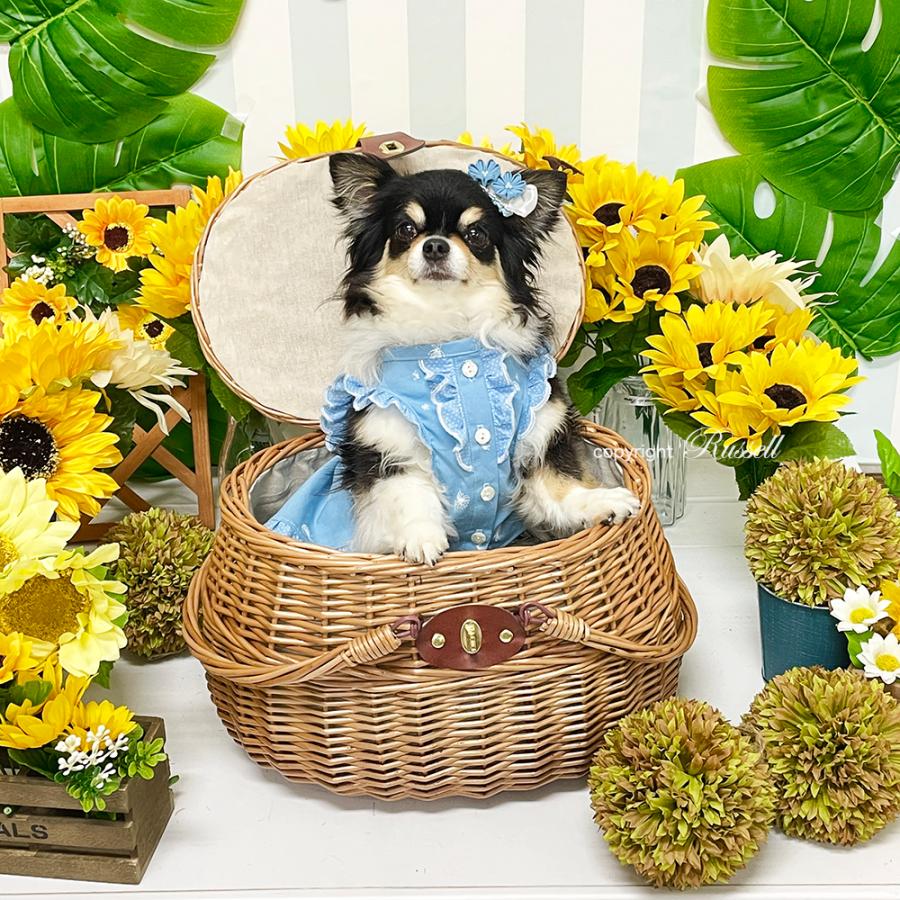ヴィンテージ 上海手工芸品 籐製 フーフードッグ 獅子 犬 バスケット ボックス 型番800S 丸い曲線スタイル 取っ手が倒せる 布付き ピクニック