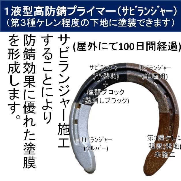 ファッションデザイナー 塩害ガード油性ブラック - メンテナンス用品 ファッションデザイナー 塩害ガード油性ブラック - メンテナンス用品
