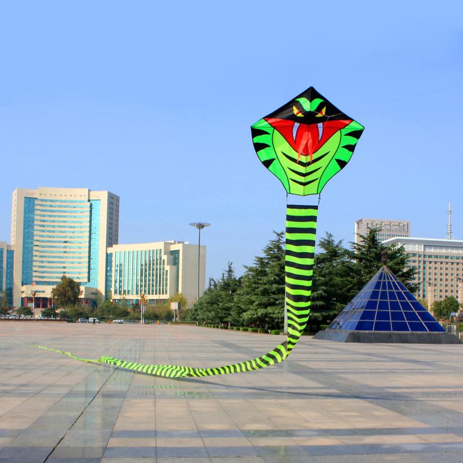 ブランド品専門 Hengda Kite 15m Large Power Snake Kites with Flying Line Outdoor Fun Sports Kite by Hengda kite