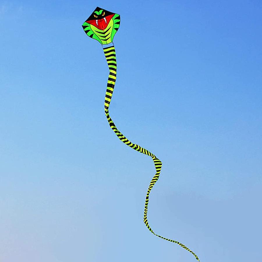 ブランド品専門 Hengda Kite 15m Large Power Snake Kites with Flying Line Outdoor Fun Sports Kite by Hengda kite