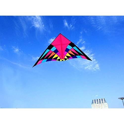 オンラインストア最激安 2.5/3.7/5 Meters Large Delta Kite Flying Ripstop Nylon Kite Reel Dragon Kite (2.5m Kite)