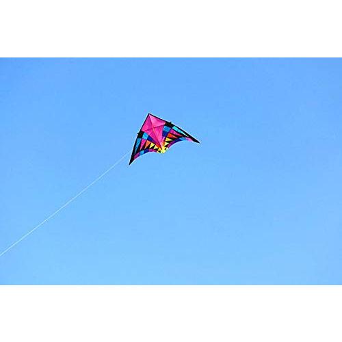 オンラインストア最激安 2.5/3.7/5 Meters Large Delta Kite Flying Ripstop Nylon Kite Reel Dragon Kite (2.5m Kite)