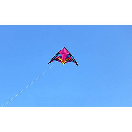 オンラインストア最激安 2.5/3.7/5 Meters Large Delta Kite Flying Ripstop Nylon Kite Reel Dragon Kite (2.5m Kite)