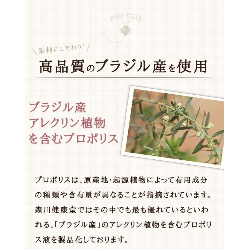 プロポリススプレー ml 12本セット 森川健康堂 プロポリス スプレー ぷろぽりす 喉 のど ケア 痛い Propolis Sp 12set Rvoice 通販 Yahoo ショッピング