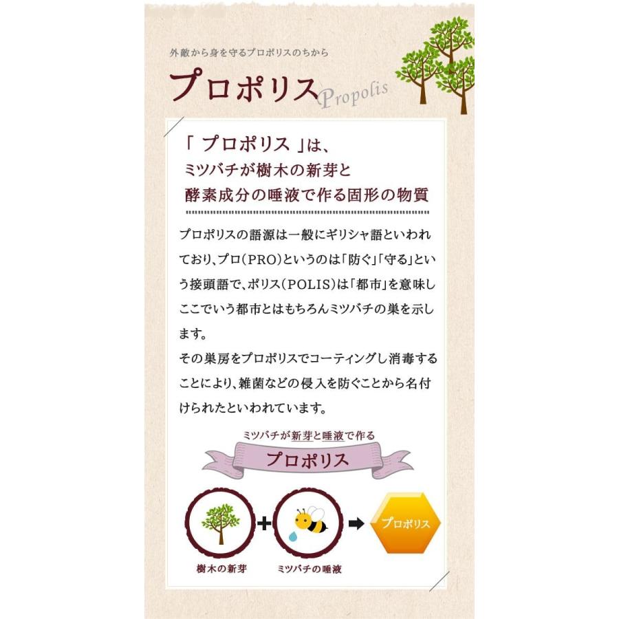 プロポリススプレー ml 森川健康堂 プロポリス スプレー ぷろぽりす 喉 のど ケア 痛い Propolis Sp Rvoice 通販 Yahoo ショッピング