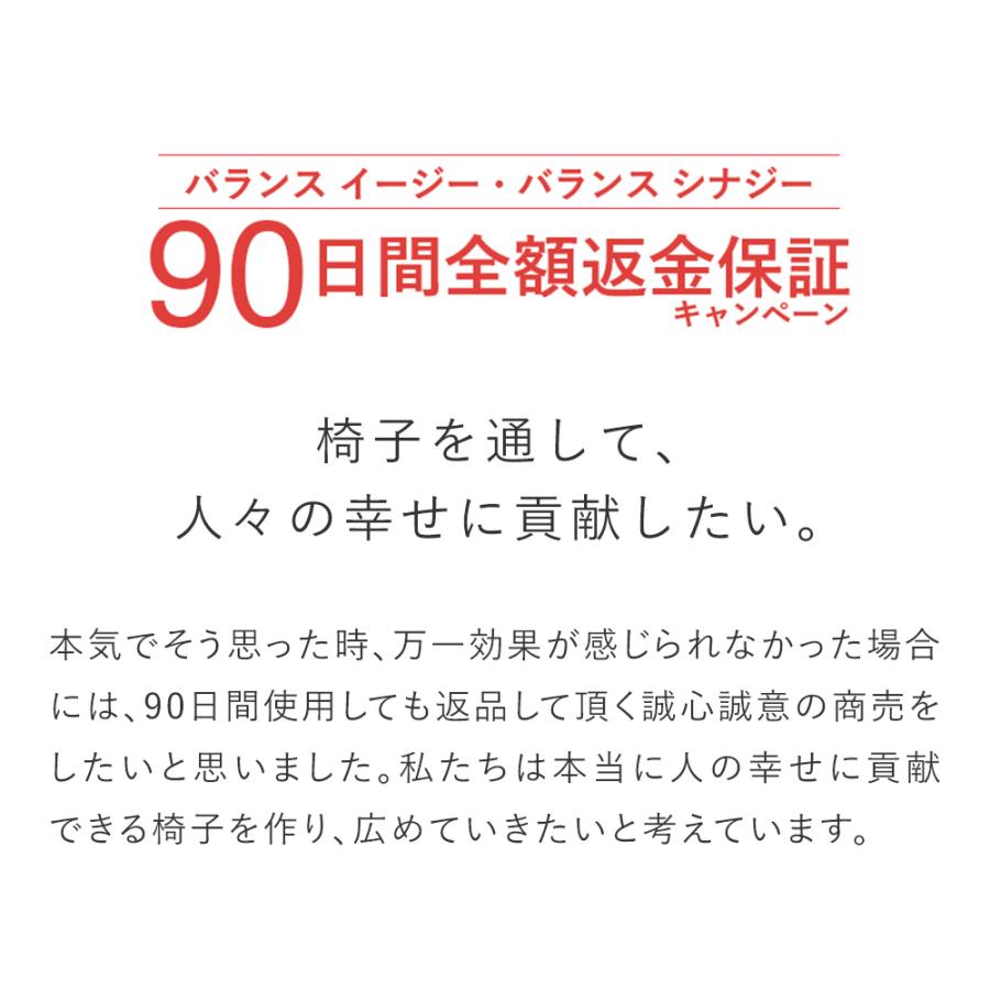 バランスラボ バランスチェア バランスシナジー オフィスチェア 腰痛