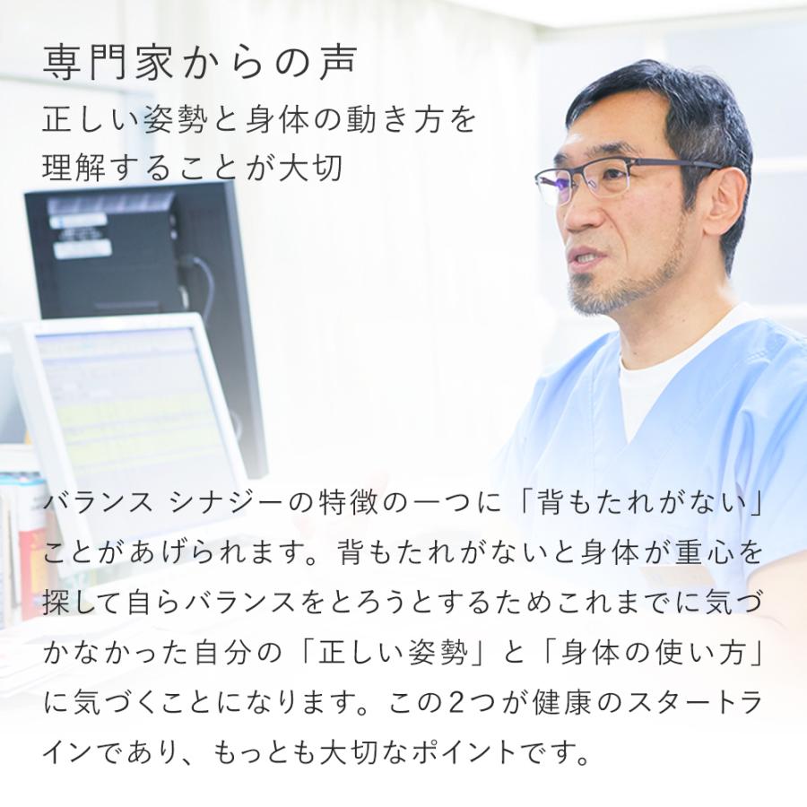 バランスラボ バランスチェア バランスシナジー オフィスチェア 腰痛