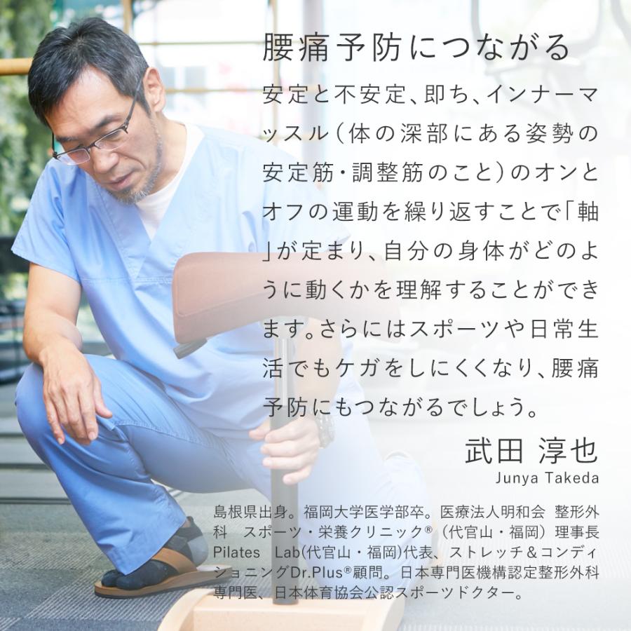 バランスラボ バランスチェア バランスシナジー オフィスチェア 腰痛