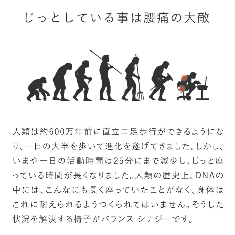 腰痛 椅子 腰痛対策 姿勢が良くなる 姿勢矯正 体幹 オフィスワーク イス チェア 在宅勤務 テレワーク リモートワーク バランスシナジー｜rybohouse｜13