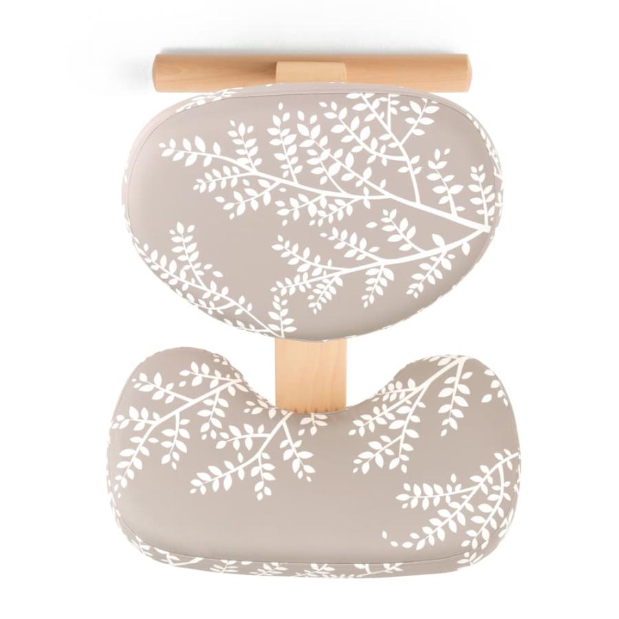 グイネンシスマノリン バリエガータ サンスベリア 抜き苗2本 10cm