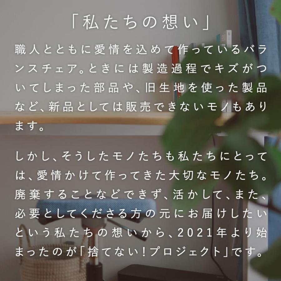 バランスラボ 【送料無料】数量限定！バランス シナジー オート