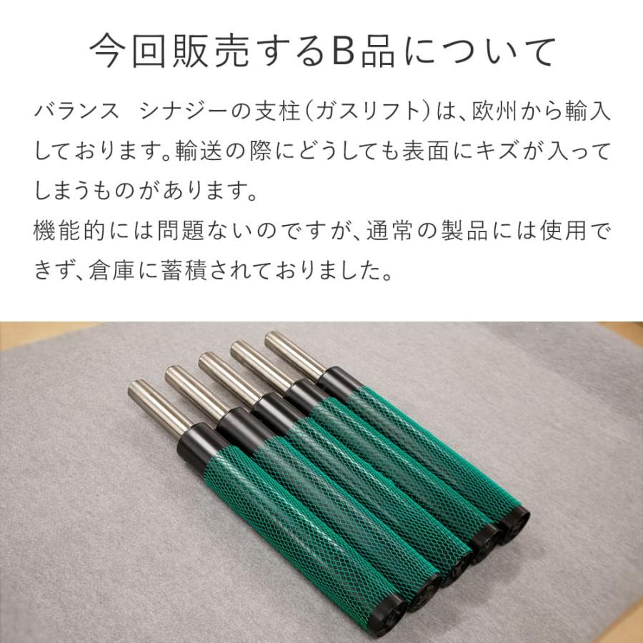 バランスラボ 【送料無料】数量限定！バランス シナジー オート