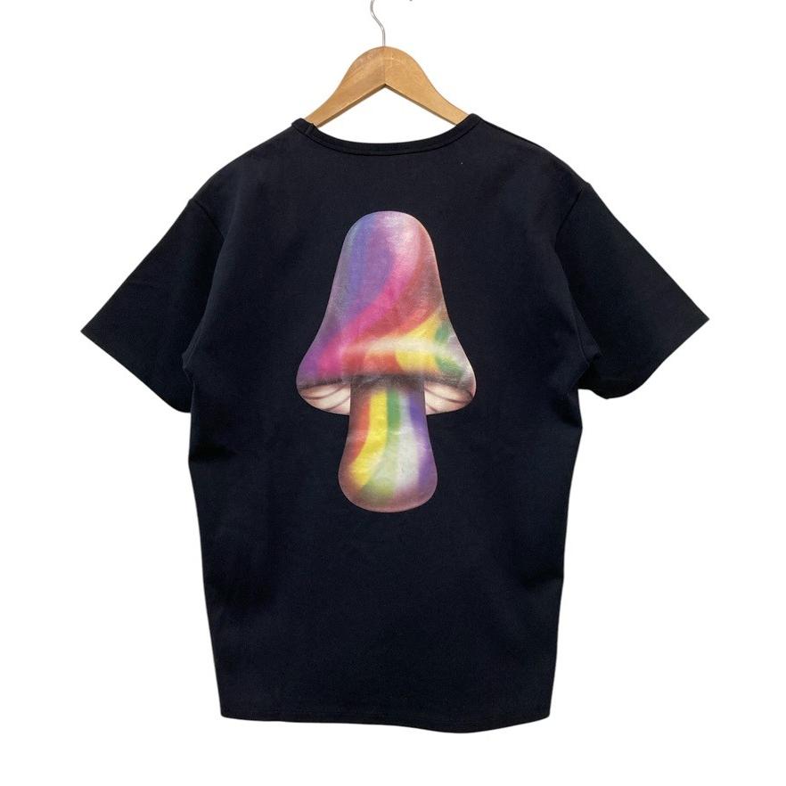 アクネストゥディオ　アクネ　シャツ Acne Studios アクネストゥディオズ SUMMER SOLSTICE PRINT LS T