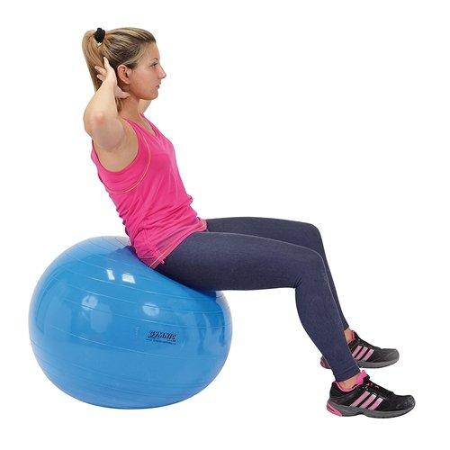 ギムニク (GYMNIC) 65 バランスボール 65cm 青 ブルー ギムニク (GYMNIC) 65 バランスボール 65cm 青 ブルー