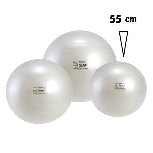 ギムニクフィットボール55バランスボールフィット55 Khgnifdz4i フィットネス トレーニング Kccc Uk