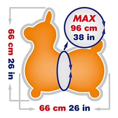 -倍速ハンディポンプ付- RODY MAX / ロディ マックス - オレンジ / Orange   大きい 大きな ロディ 大  バランスボール プレゼント 小学生 大人 -正規品-の画像