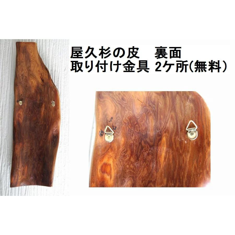 屋久杉の皮 1点もの商品 表札 看板 店名板 社名板 木製 天然木 屋久杉