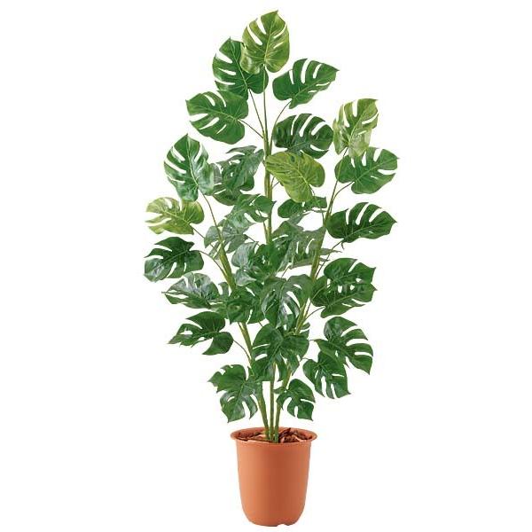 人工観葉植物 フェイクグリーン 150cmスプリットフィロツリー[ONSLETR7676]