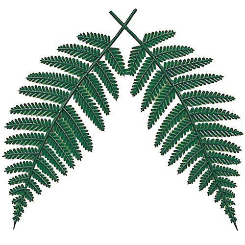 裏白 S 10枚入り お正月 装飾 正月飾り お正月用品 造花 Onspadp8449s Padp8449s 造花 店舗装飾の緑花堂 通販 Yahoo ショッピング