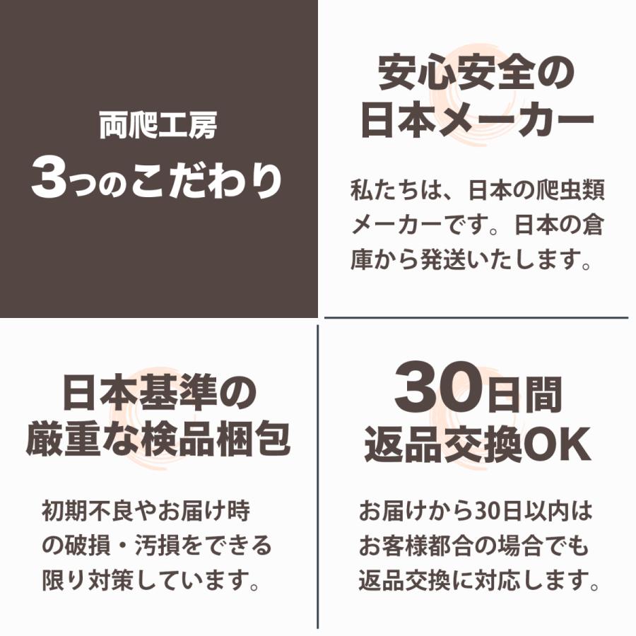 両爬工房 シェルター 隠れ家 爬虫類 トカゲ カナヘビ ヤモリ フトアゴヒゲトカゲ ロックシェルター バスキングスポット 小型 小さい Mサイズ W19×D11.5×H8cm｜ryohakobo｜06